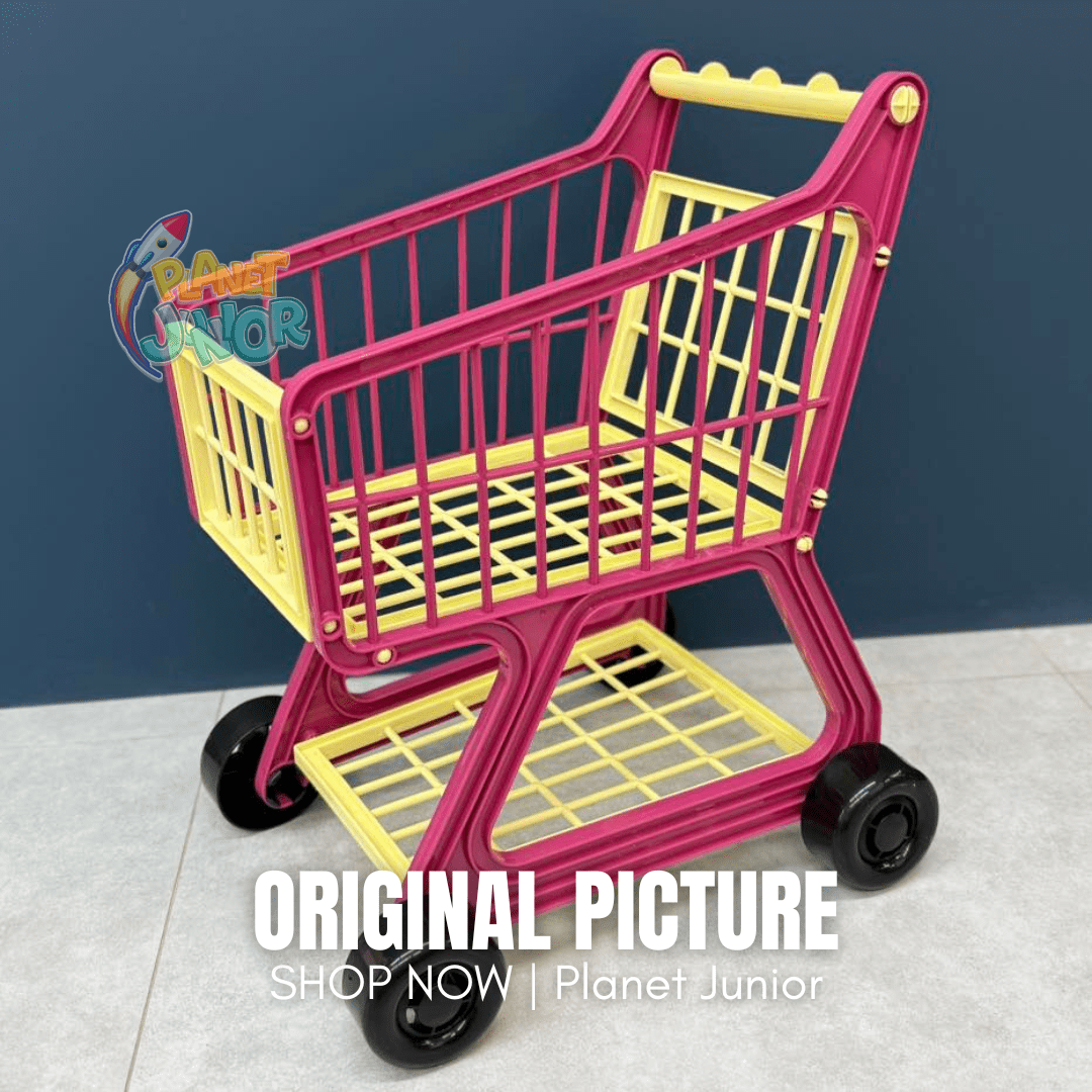 Kids Pretend Play Shopping Cart with Grocery Accessories