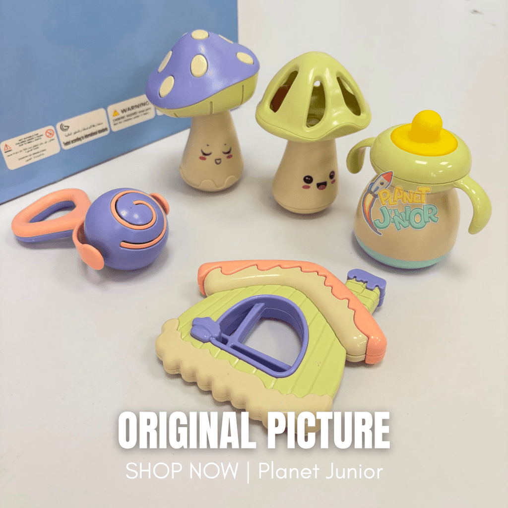 Adorable Baby Rattle & Teether Set with Assorted Sensory Shapes