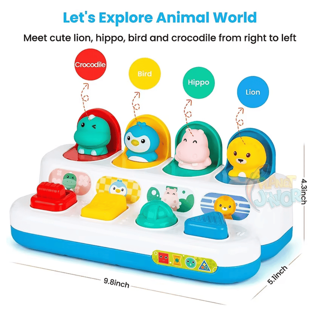 Interactive Pop-Up Animal Learning Switch Box