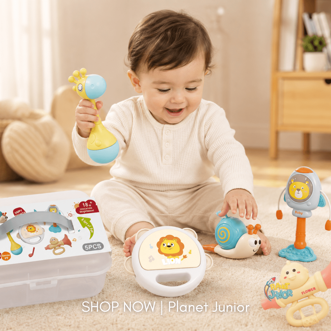 5-Piece Cartoon Musical Baby Rattle & Teething Gift Box