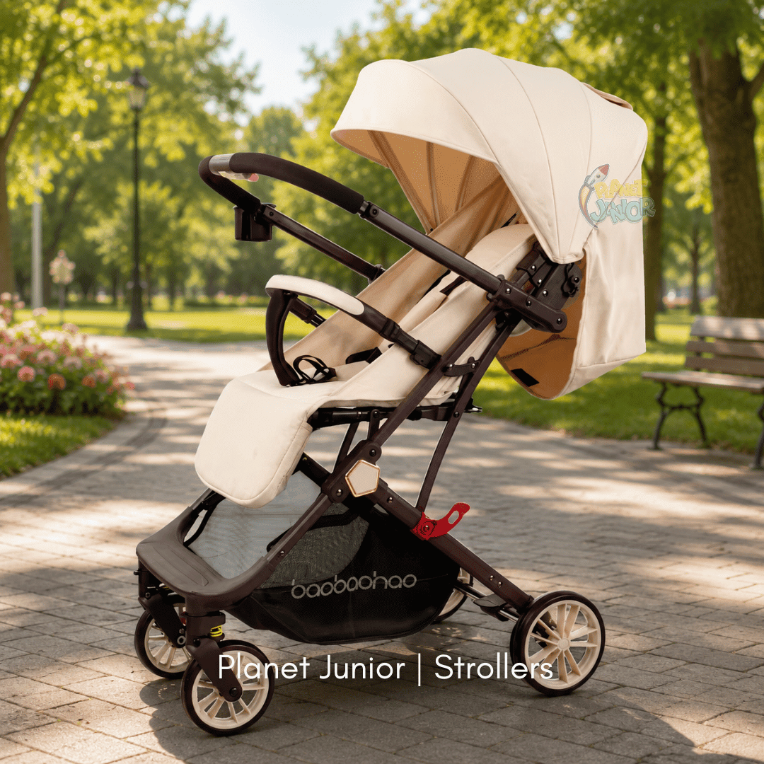 Baobaohao Luxury Reversible Cabin Travel Stroller