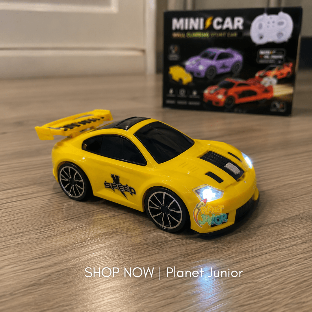Mini RC Smart Follow Car – 3 Play Modes