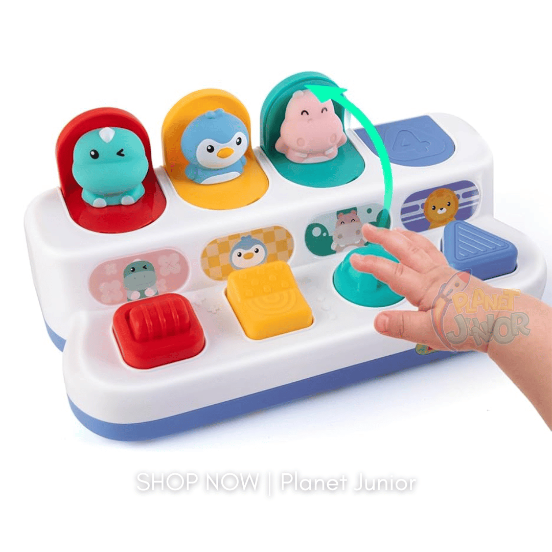 Interactive Pop-Up Animal Learning Switch Box