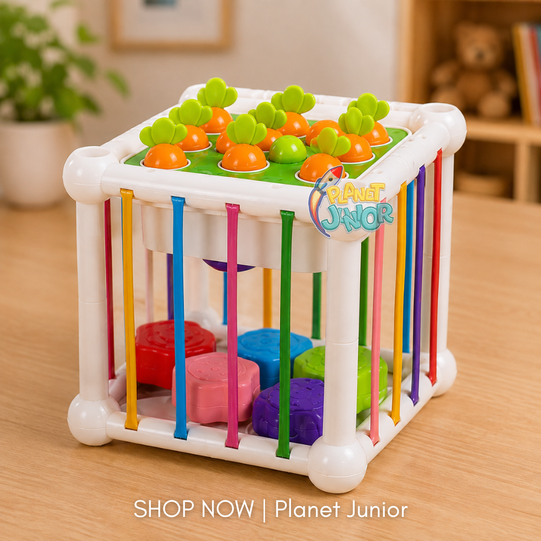 Multifunction Shape Sorting Cube – Colorful Matching & Sensory Activity Toy