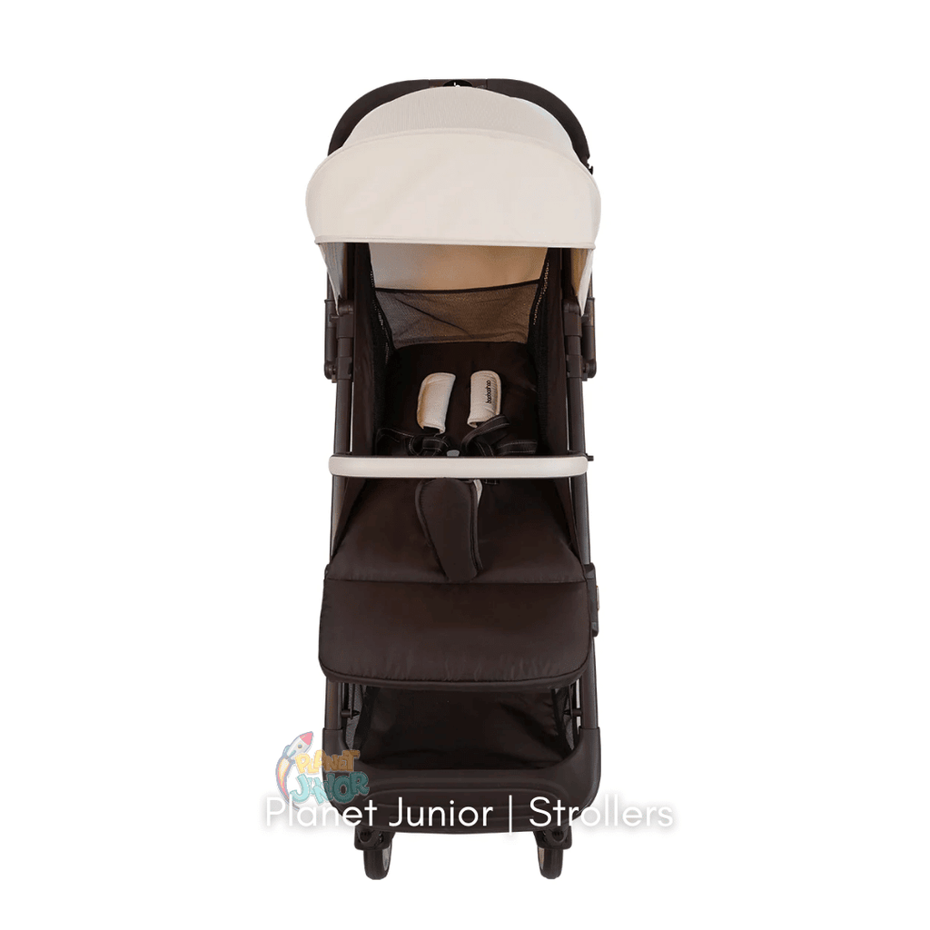 Baobaohao Luxury Reversible Cabin Travel Stroller