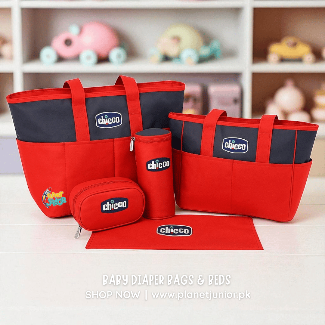 Chicco 5 in 1 Multi Function Baby Bag
