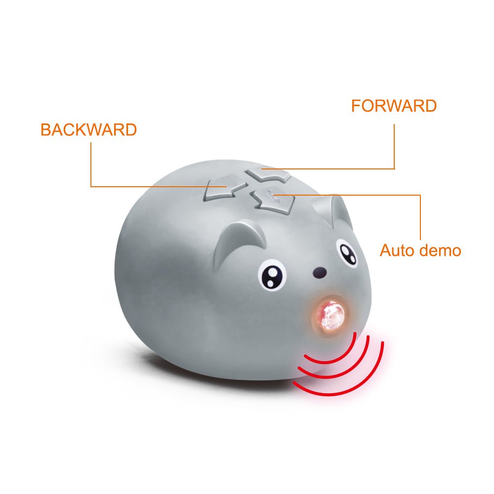 Remote Control Smoke Spider – Infrared Crawling Creature with Light-Up Eyes
